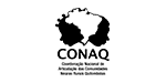 Coordenação Nacional de Articulação das Comunidades Negras Rurais Quilombolas